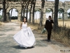 Matrimonio all'italiana